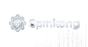 Spinkong